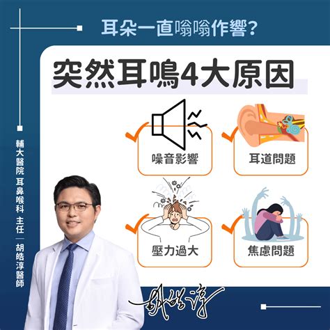 挖完耳朵耳鳴|耳鳴怎麼辦？耳鼻喉科醫師解析原因、治療、解決方法